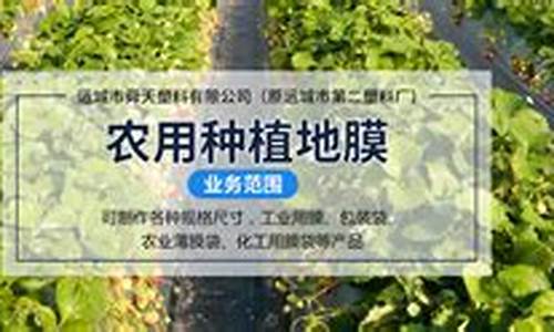 菠菜网收集：专业菠菜导航官方网站详解