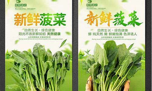 菠菜信誉大平台：菠菜公司LOL游戏广告：探索精彩游戏世界