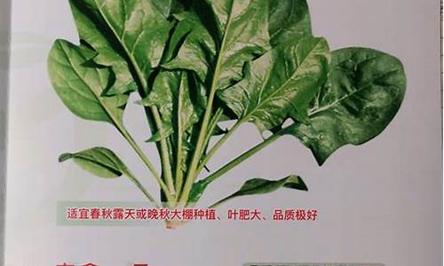 菠菜担保评级网：菠菜LOL游戏介绍