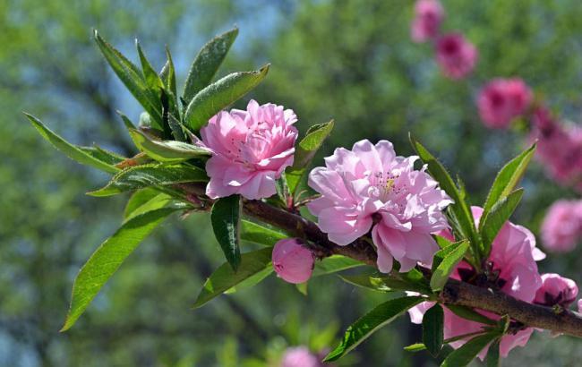 信誉好的菠菜导航：菠菜大平台LOL游戏介绍